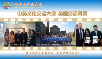 融汇中西，传递友谊——第五届中国文化交流大使选拔活动组织策划文化艺术交流活动纪实